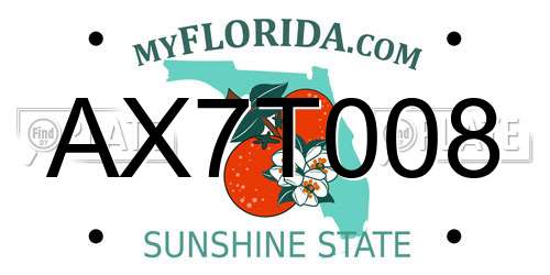 AX7T008 Florida License Plate