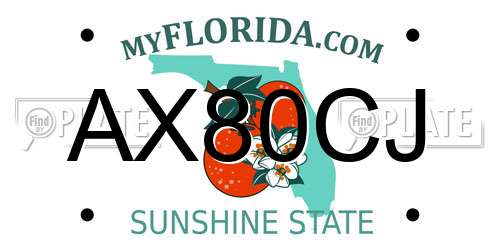 AX80CJ Florida License Plate