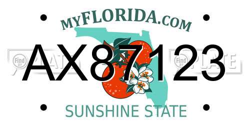 AX87123 Florida License Plate