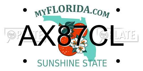 AX87CL Florida License Plate
