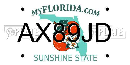 AX89JD Florida License Plate