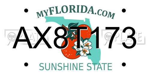 AX8T173 Florida License Plate