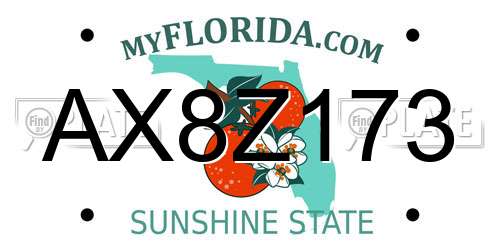 AX8Z173 Florida License Plate