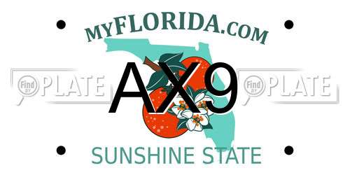 AX9 Florida License Plate