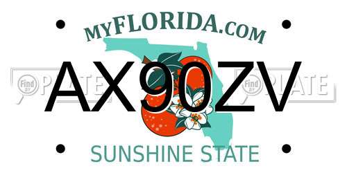 AX90ZV Florida License Plate