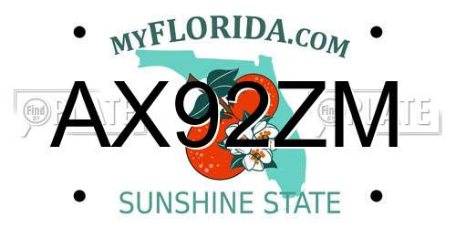 AX92ZM Florida License Plate
