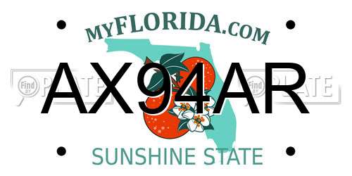 AX94AR Florida License Plate