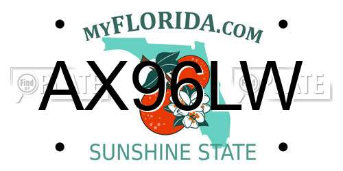 AX96LW Florida License Plate