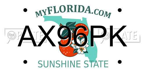 AX96PK Florida License Plate