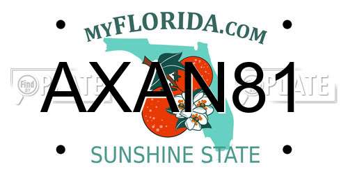 AXAN81 Florida License Plate