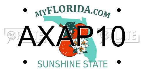 AXAP10 Florida License Plate