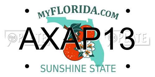 AXAP13 Florida License Plate