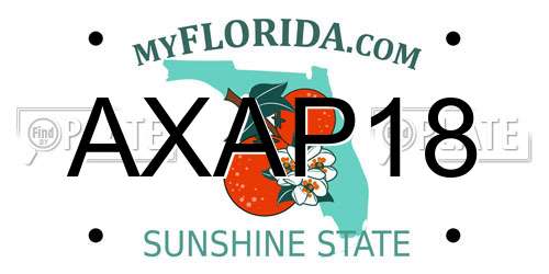 AXAP18 Florida License Plate