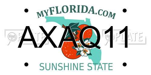 AXAQ11 Florida License Plate