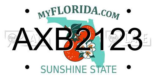 AXB2123 Florida License Plate