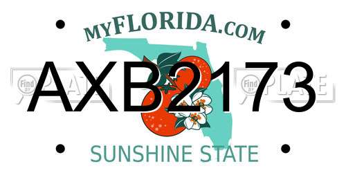 AXB2173 Florida License Plate