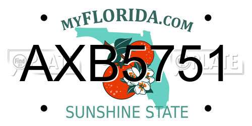 AXB5751 Florida License Plate