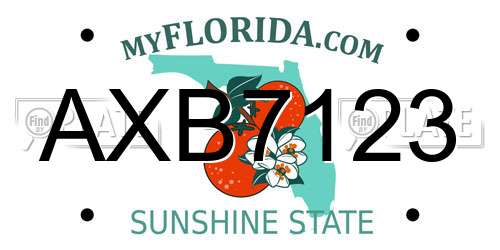AXB7123 Florida License Plate