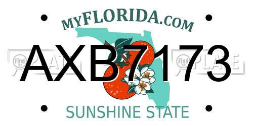 AXB7173 Florida License Plate