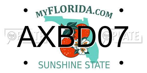 AXBD07 Florida License Plate