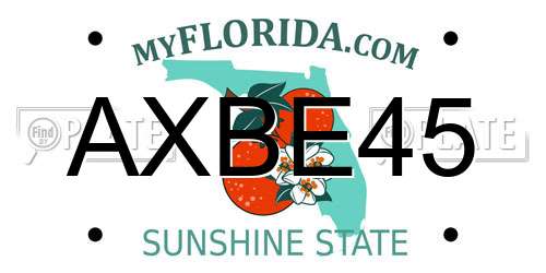 AXBE45 Florida License Plate