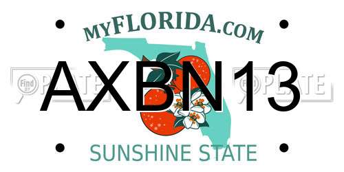 AXBN13 Florida License Plate