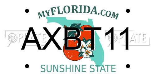 AXBT11 Florida License Plate