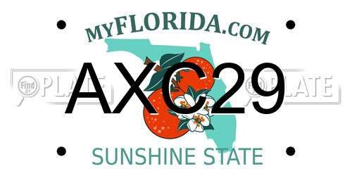 AXC29 Florida License Plate
