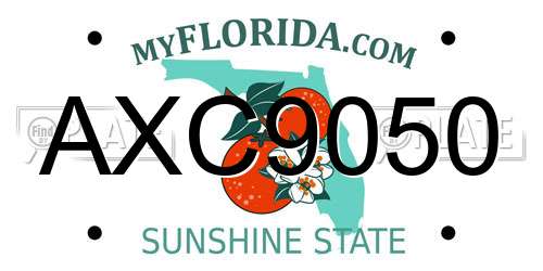 AXC9050 Florida License Plate