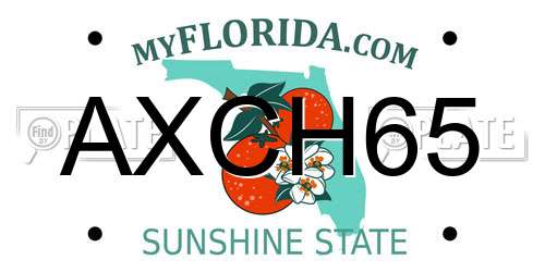 AXCH65 Florida License Plate