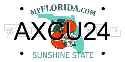 AXCU24 Florida License Plate