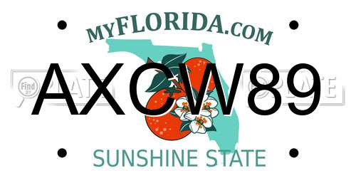 AXCW89 Florida License Plate