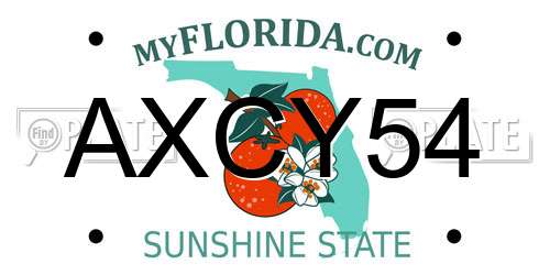 AXCY54 Florida License Plate