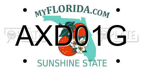 AXD01G Florida License Plate