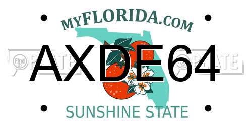 AXDE64 Florida License Plate