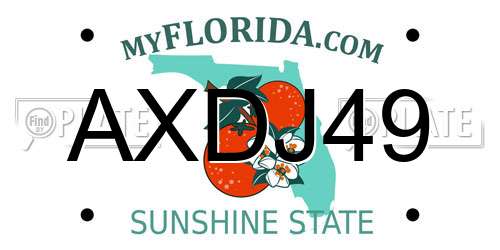 AXDJ49 Florida License Plate