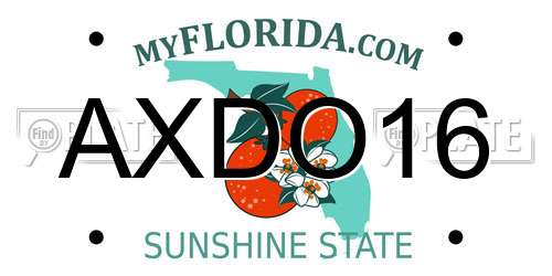 AXDO16 Florida License Plate