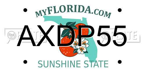 AXDP55 Florida License Plate