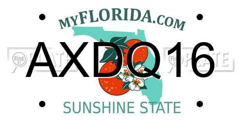 AXDQ16 Florida License Plate