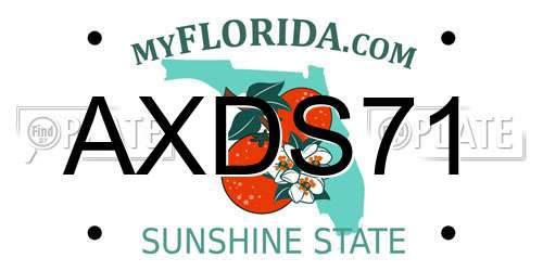 AXDS71 Florida License Plate