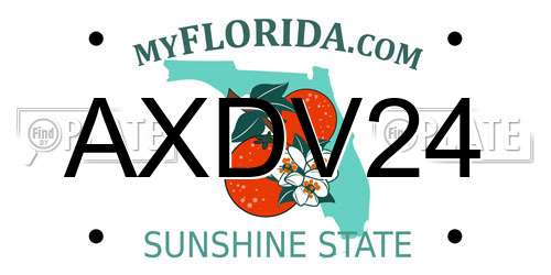 AXDV24 Florida License Plate