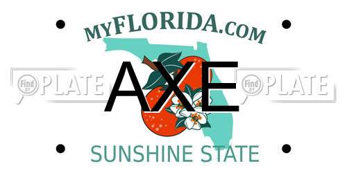 AXE Florida License Plate