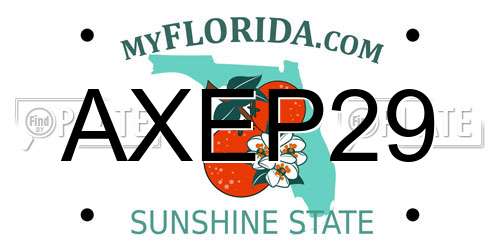 AXEP29 Florida License Plate