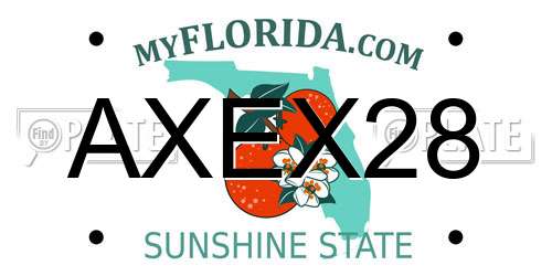 AXEX28 Florida License Plate
