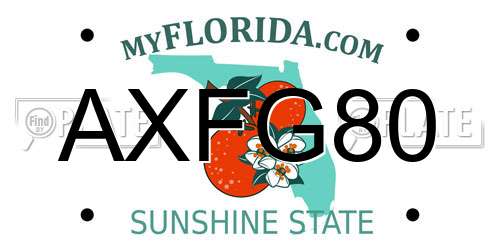 AXFG80 Florida License Plate