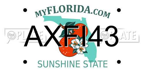 AXFI43 Florida License Plate