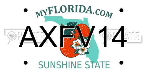 AXFV14 Florida License Plate