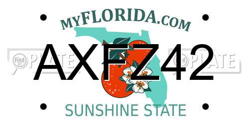 AXFZ42 Florida License Plate