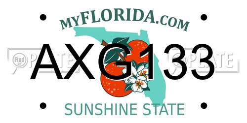 AXG133 Florida License Plate