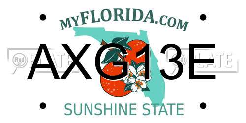 AXG13E Florida License Plate